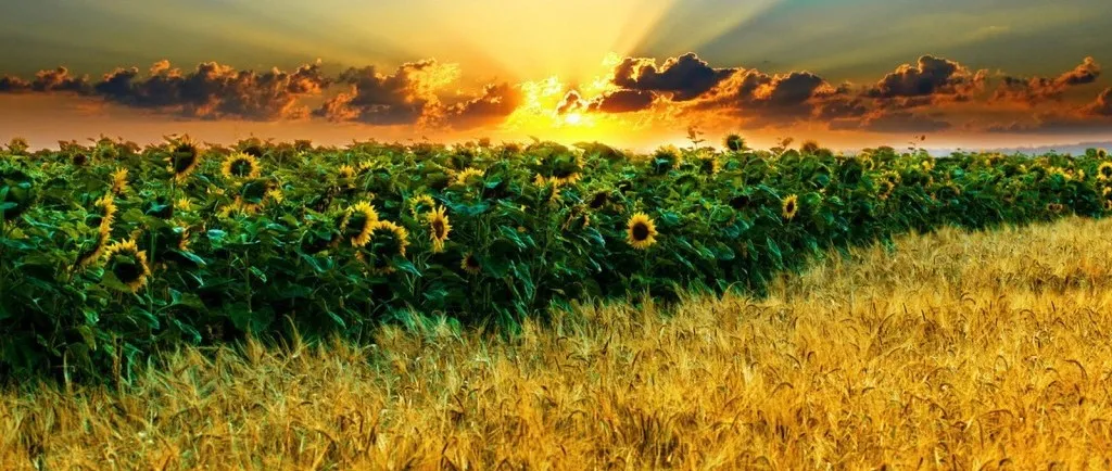 Зображення до новини