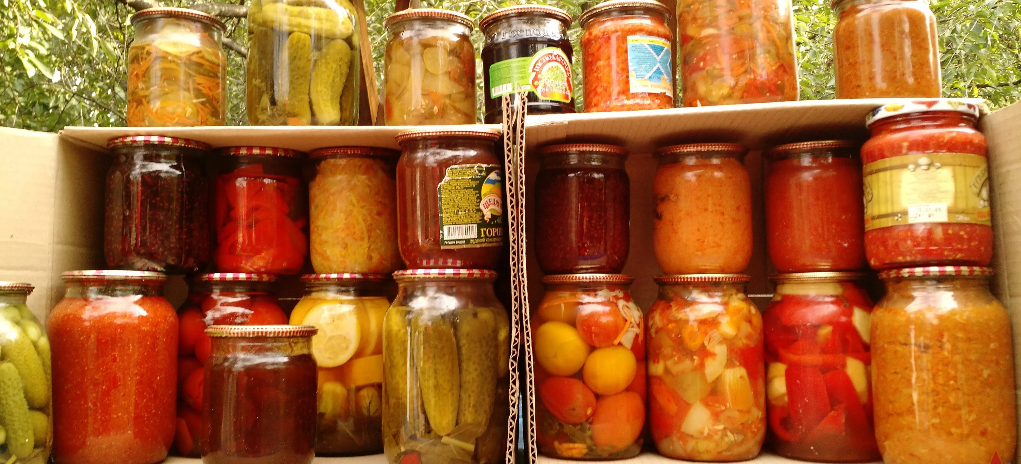 Зображення до новини