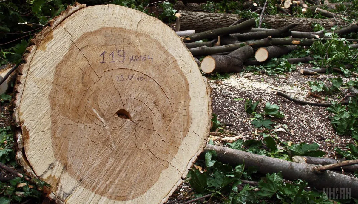 Зображення до новини