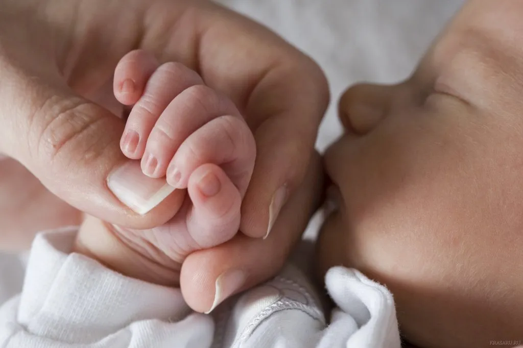 Зображення до новини