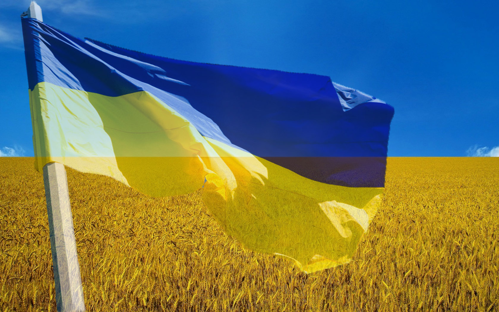У День Соборності України вінничани об’єднають береги міста живим ланцюгом