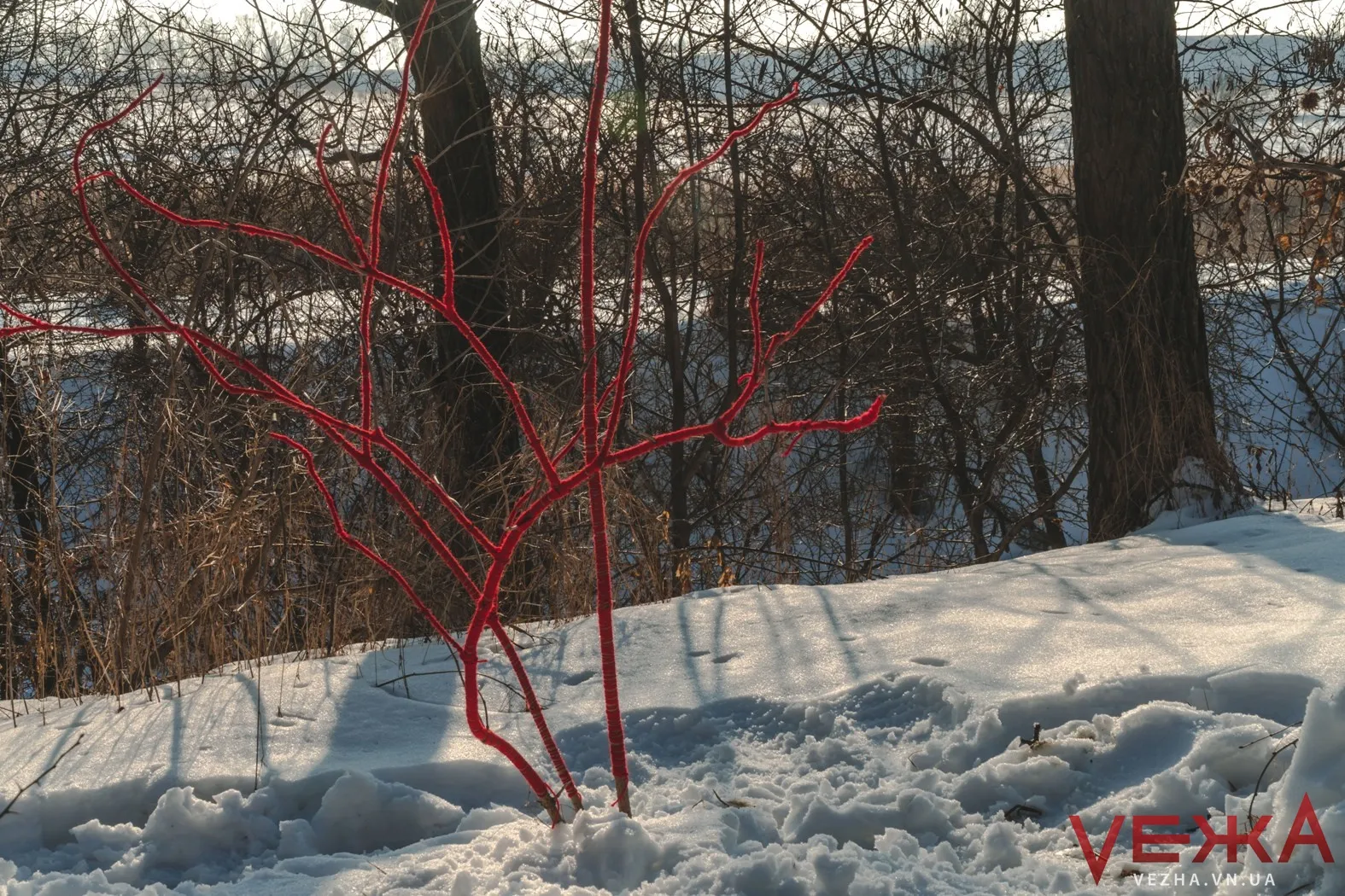 DSC09218 - Vежа