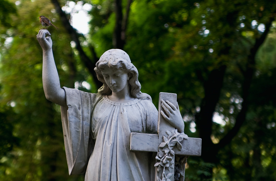 На нове кладовище біля Сабарова та «Академічного» виділили понад 40 мільйонів