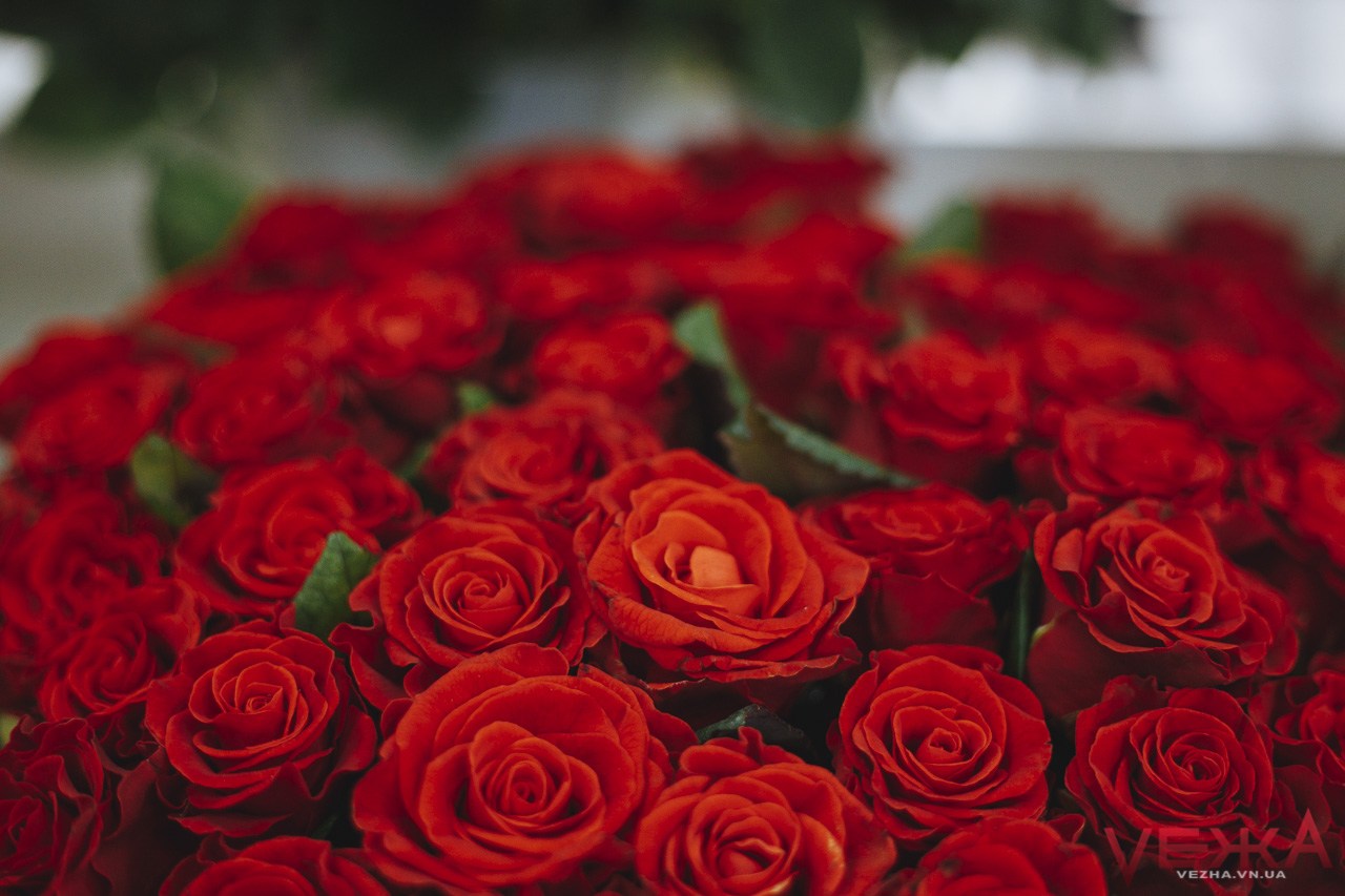 Не сакурами єдиними: біля вінницьких шкіл висадять понад 400 кущів троянд