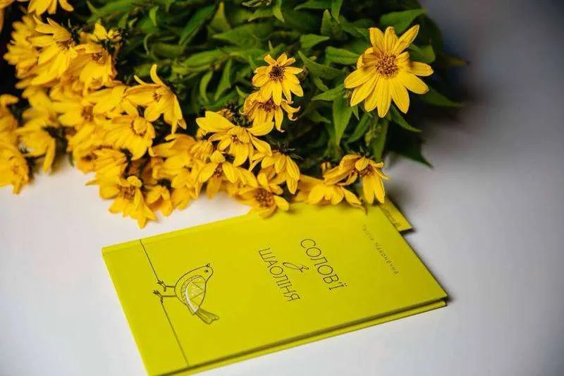 Зображення до новини