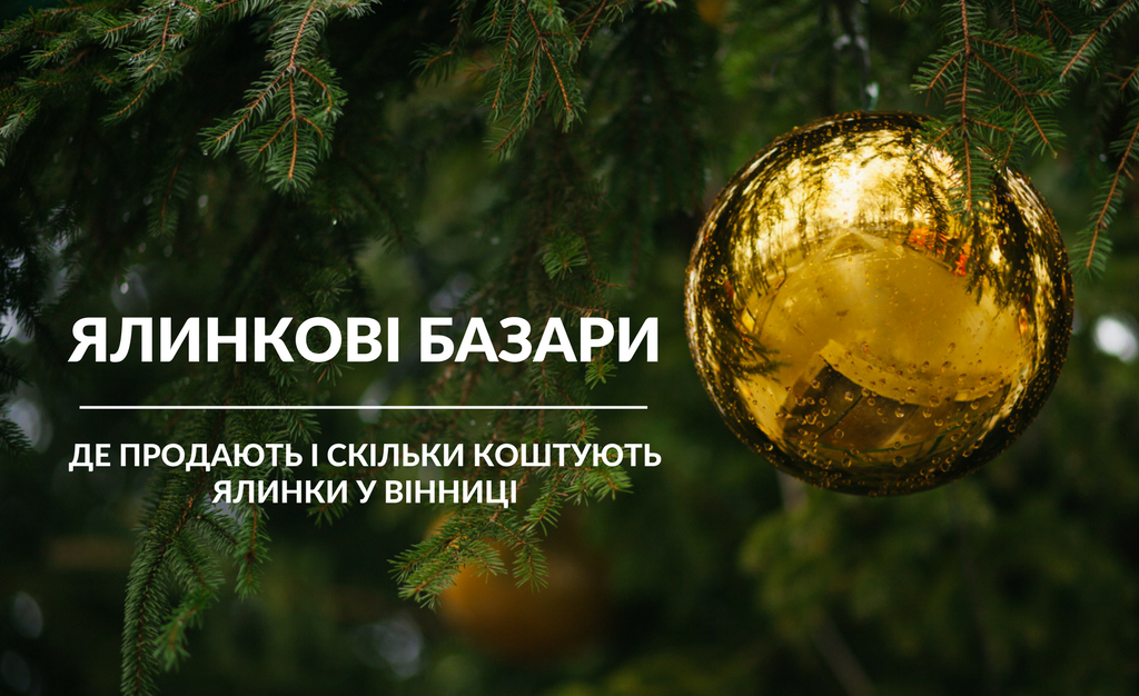 Ялинкові базари відкрито: де і за скільки у Вінниці можна придбати новорічні дерева. ОГЛЯД