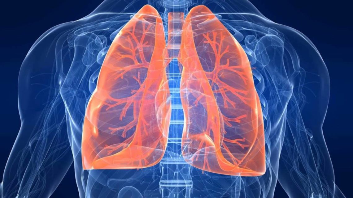 Стоп-туберкульоз: у Вінниці можна буде безкоштовно обстежитись на наявність небезпечного захворювання