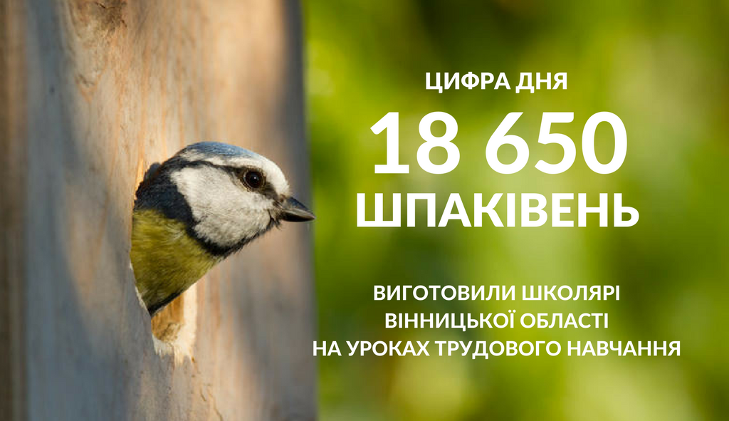Школярі Вінниччини зробили понад 18 тисяч шпаківень для лісу. ФОТО