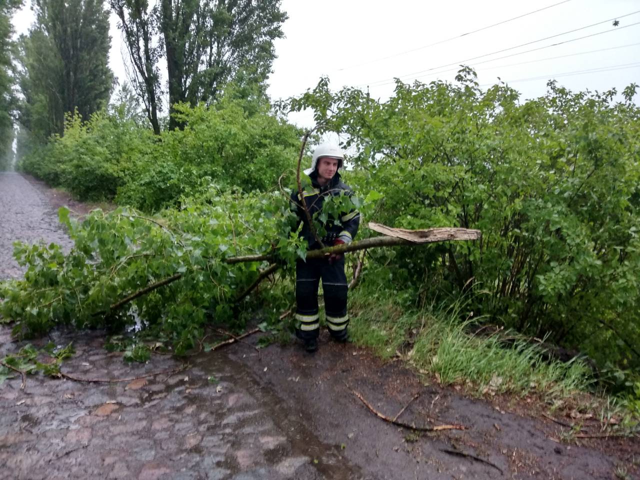 Повалені дерева та 72 населені пункти без електроенергії: наслідки вчорашньої зливи на Вінниччині. ФОТО