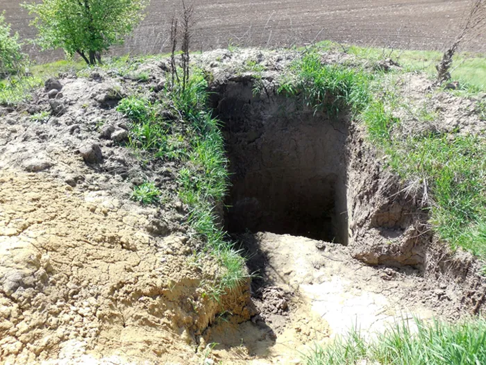 На Вінниччині мародери розграбували скіфську могилу. ФОТО