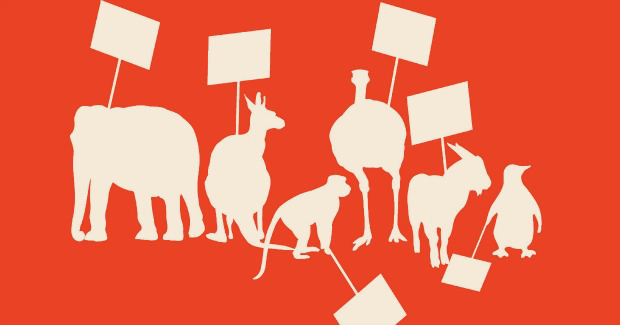 “Вийди за мене!”: у Вінниці запрошують на марш за права тварин