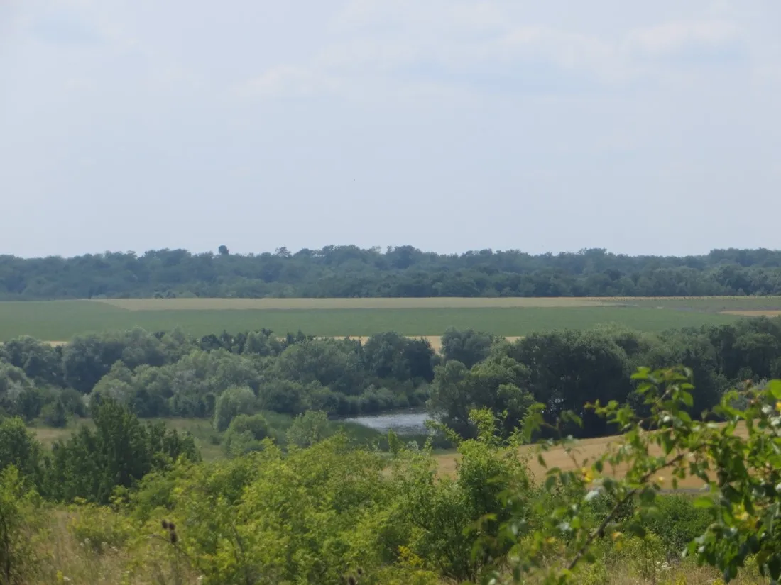 Picture5 - Vежа