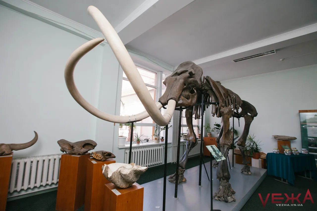 Зображення до новини