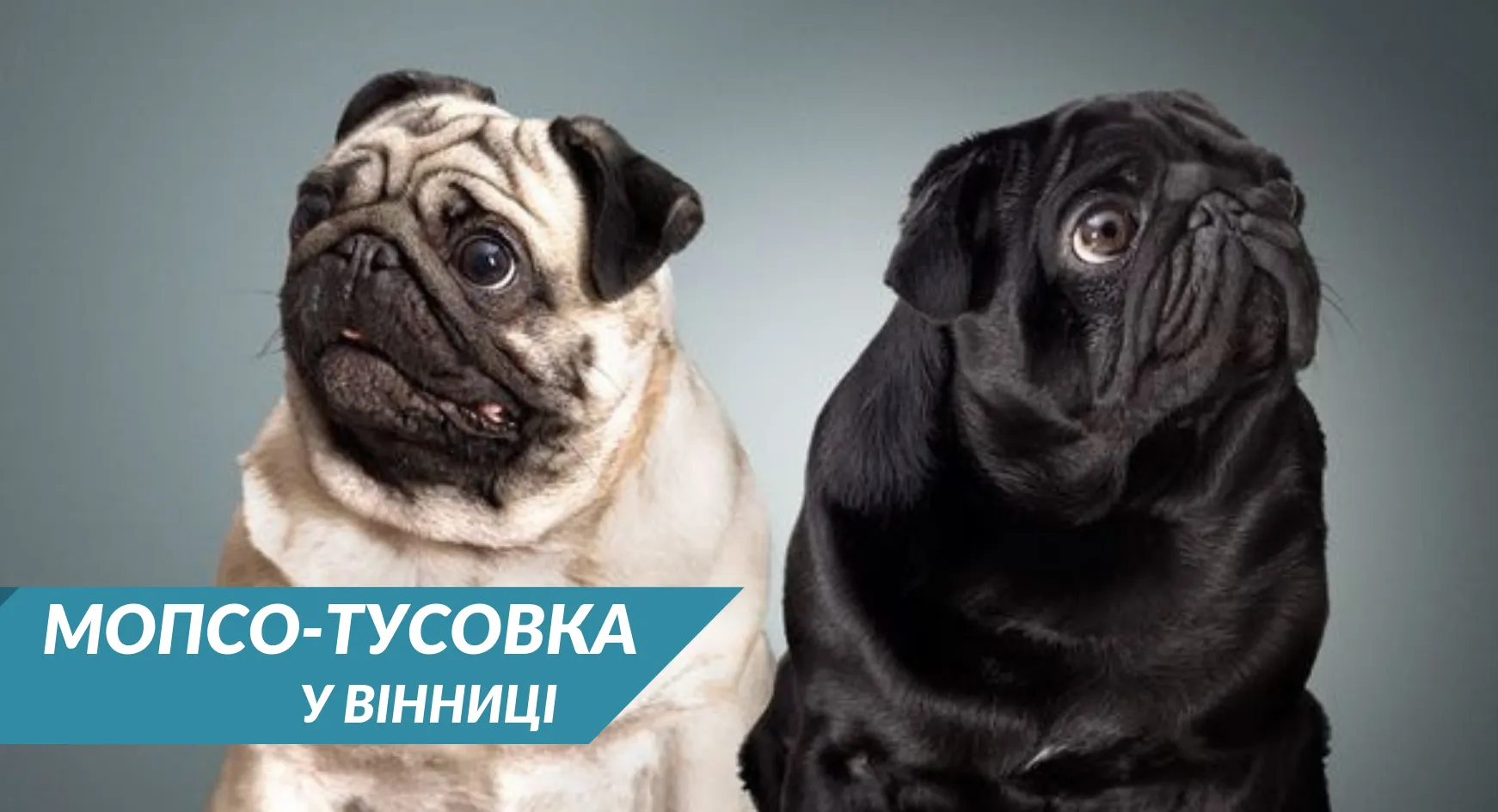 Зображення до новини