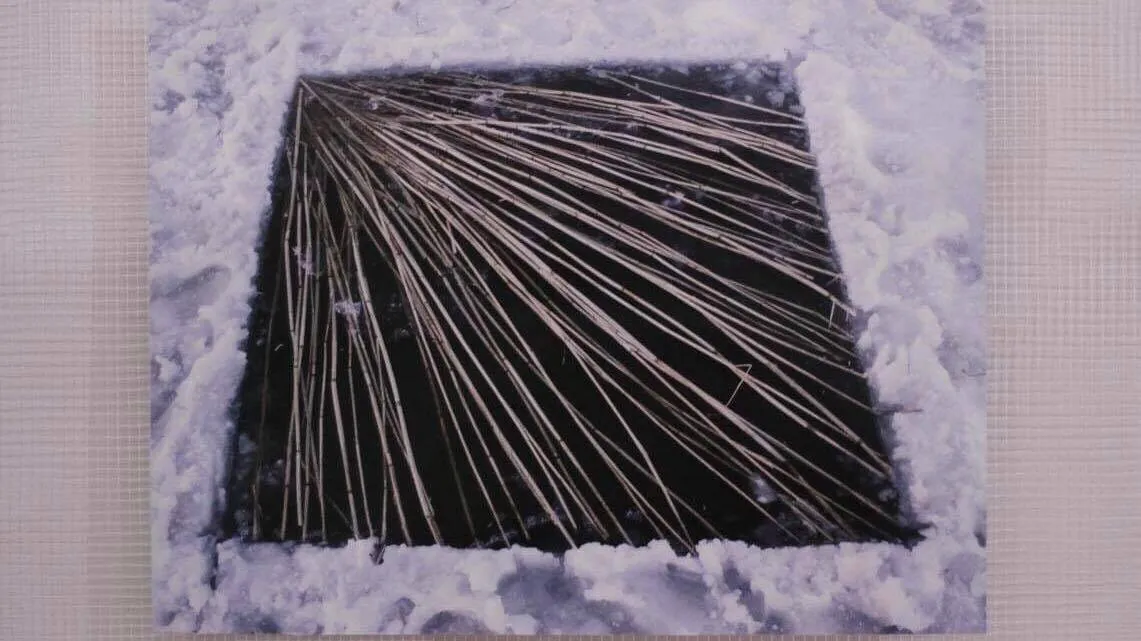 Зображення до новини