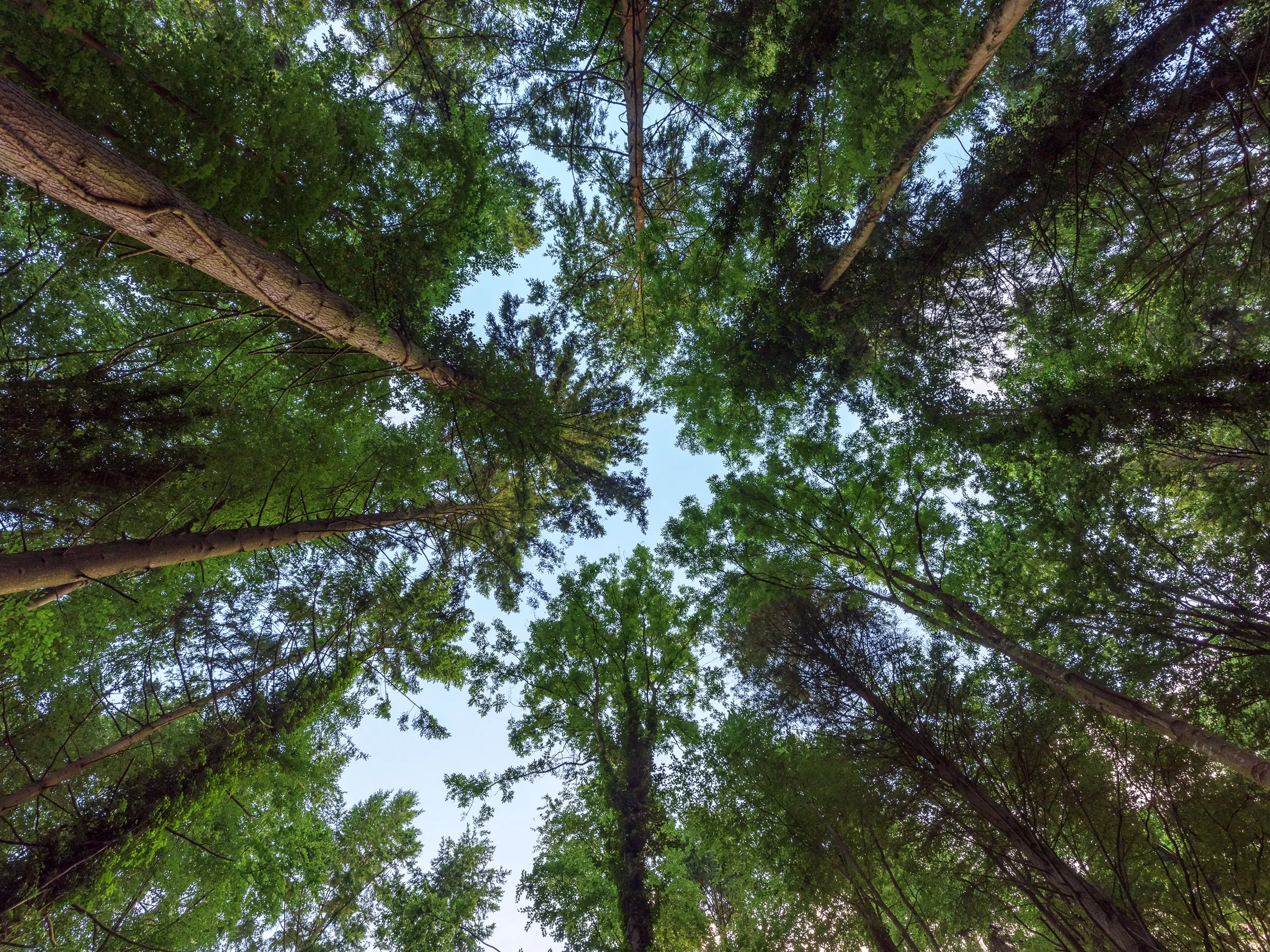test-image-5