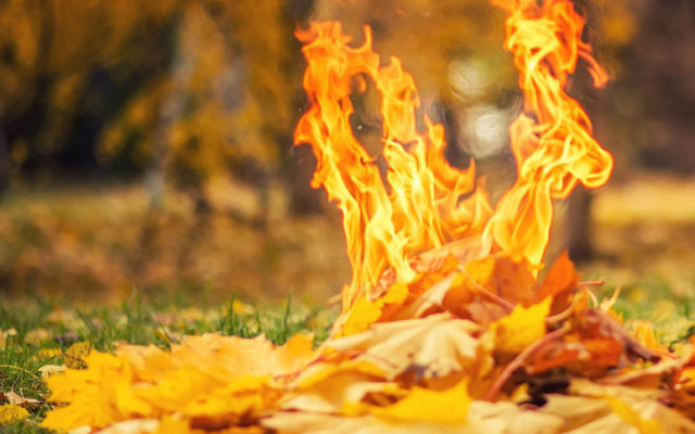 Полювання на паліїв: у Вінниці починаються весняні рейди проти спалювачів листя