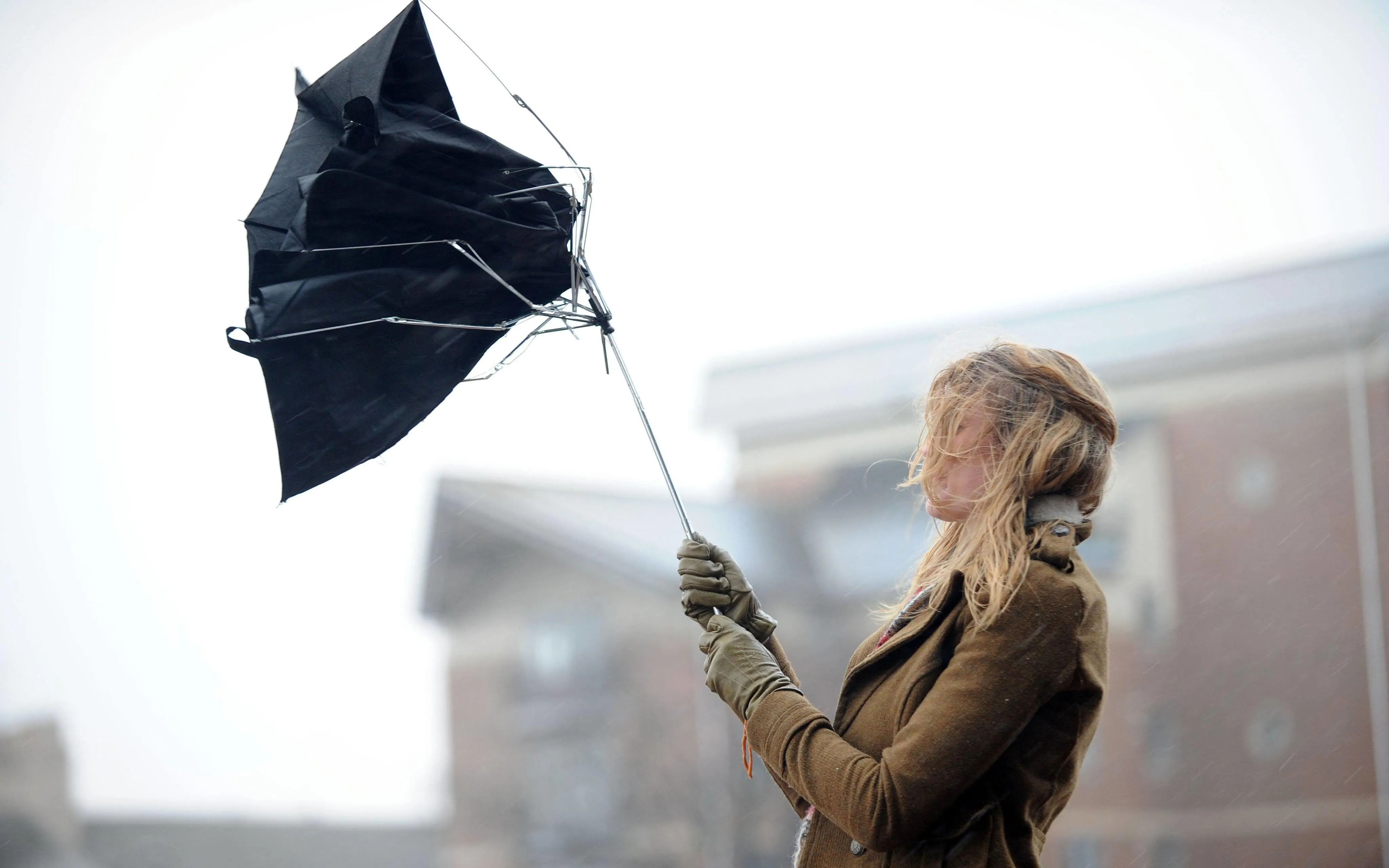 Зображення до новини