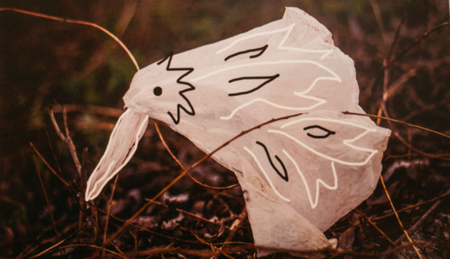 Пет-пташки та звуки моря з пластику: вінницька школярка зробила екологічний арт-проект у власній школі. ФОТО