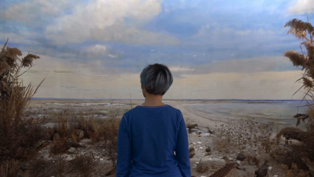 Від мультиків до драм: у Вінниці покажуть кращі короткометражки «Української Нової Хвилі»