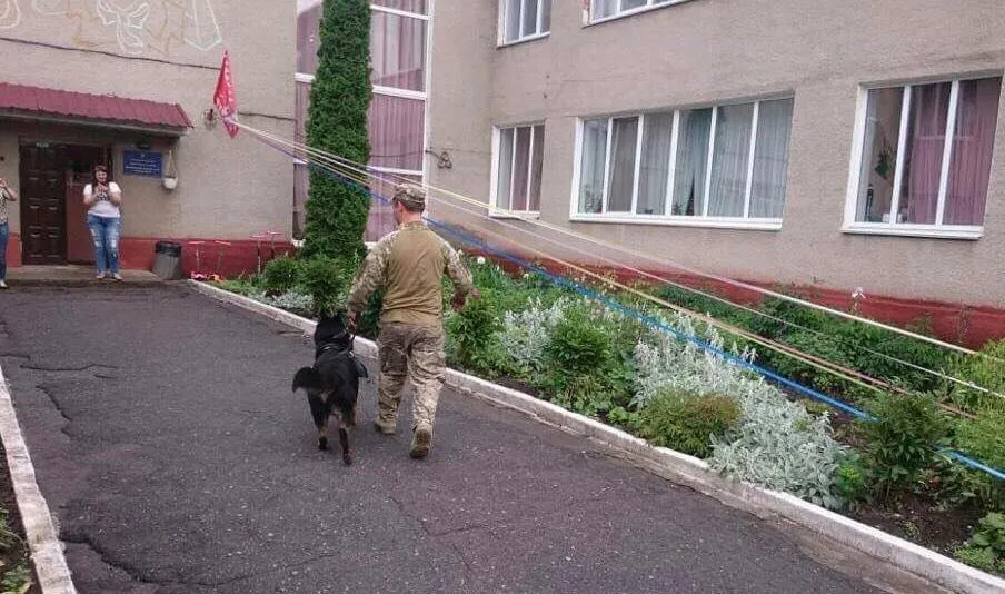 Зображення до новини