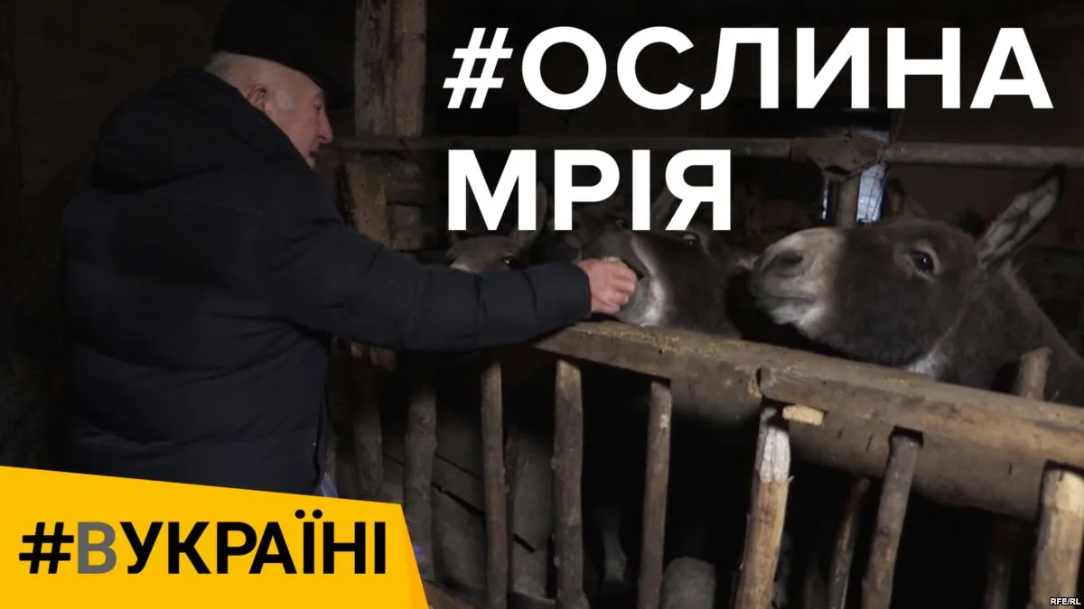 Зображення до новини