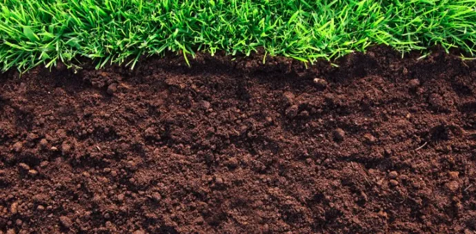 Зображення до новини