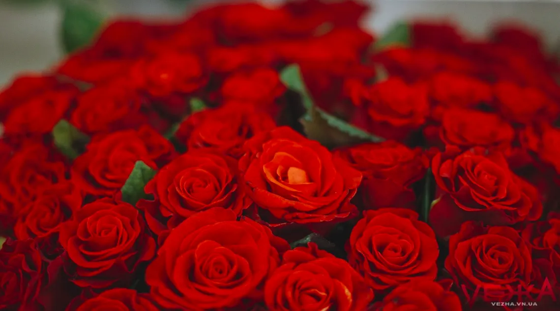 Зображення до новини