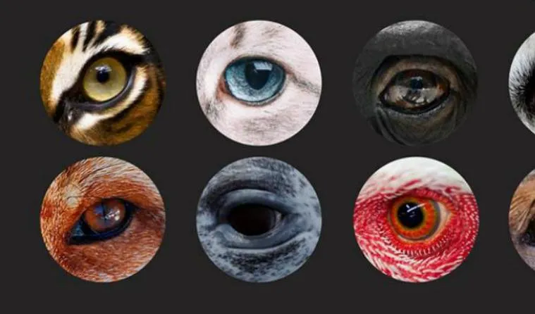 Зображення до новини