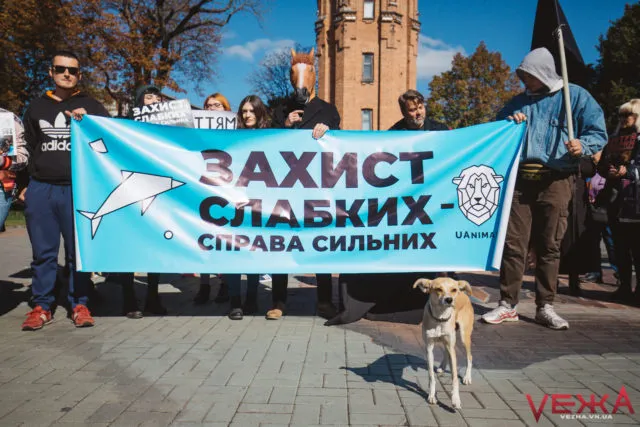 Вінниця доєднається до Всеукраїнського маршу за тварин