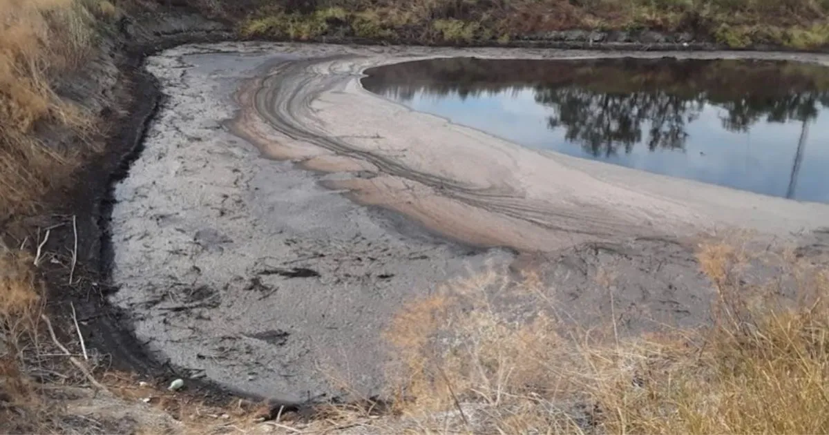 Зображення до новини
