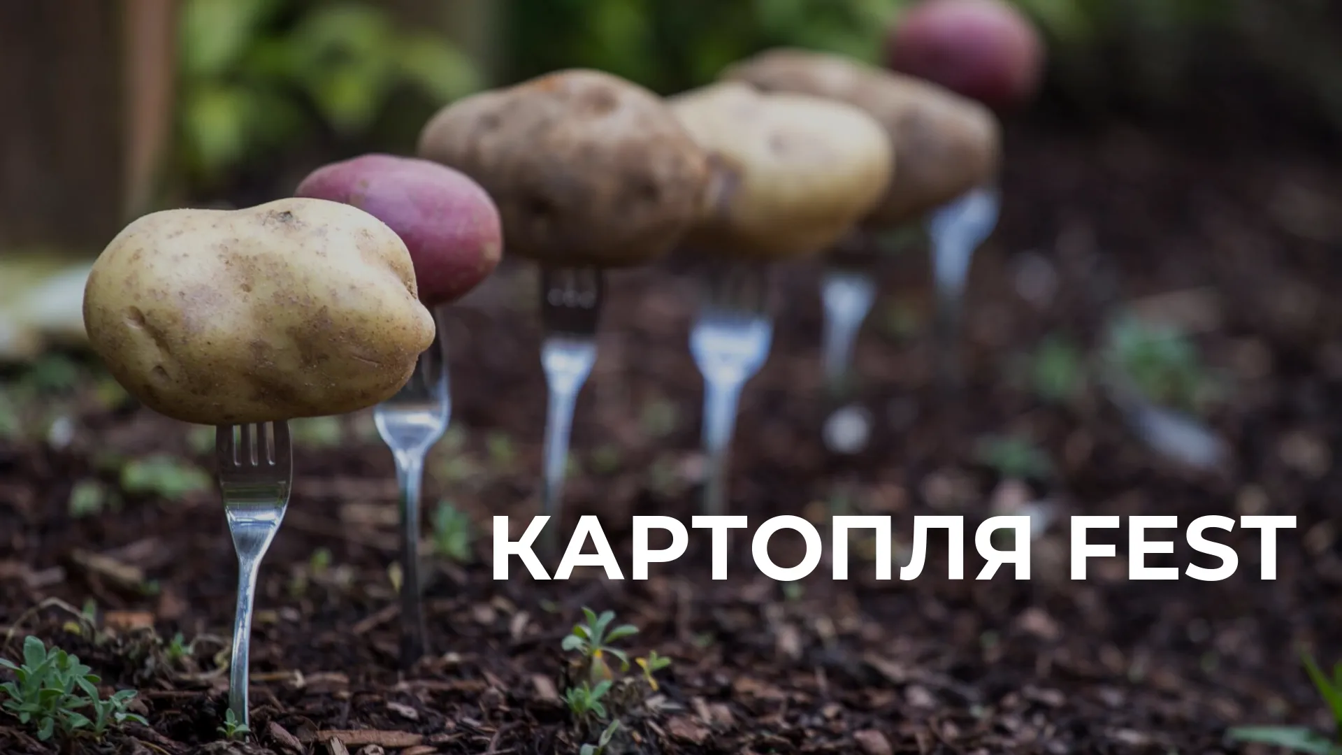 Зображення до новини