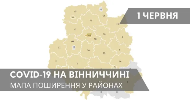 За добу на Вінниччині від коронавірусу одужала 31 людина. ГРАФІКА