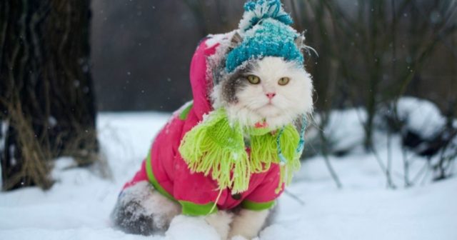 Сніг та ожеледиця: на Вінниччині прогнозують погіршення погодних умов