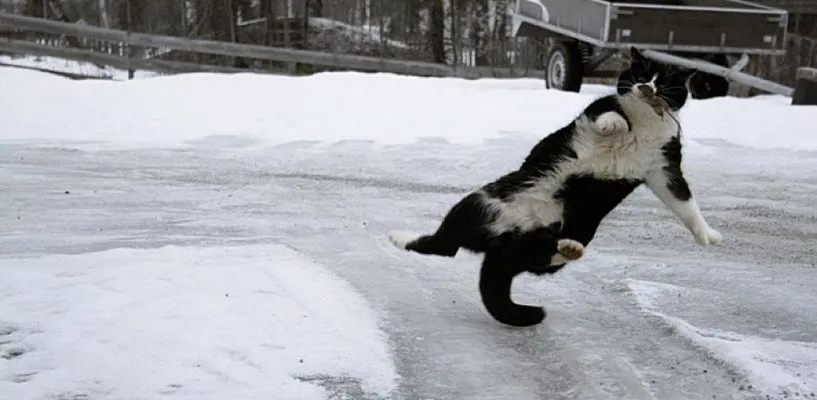 Зображення до новини