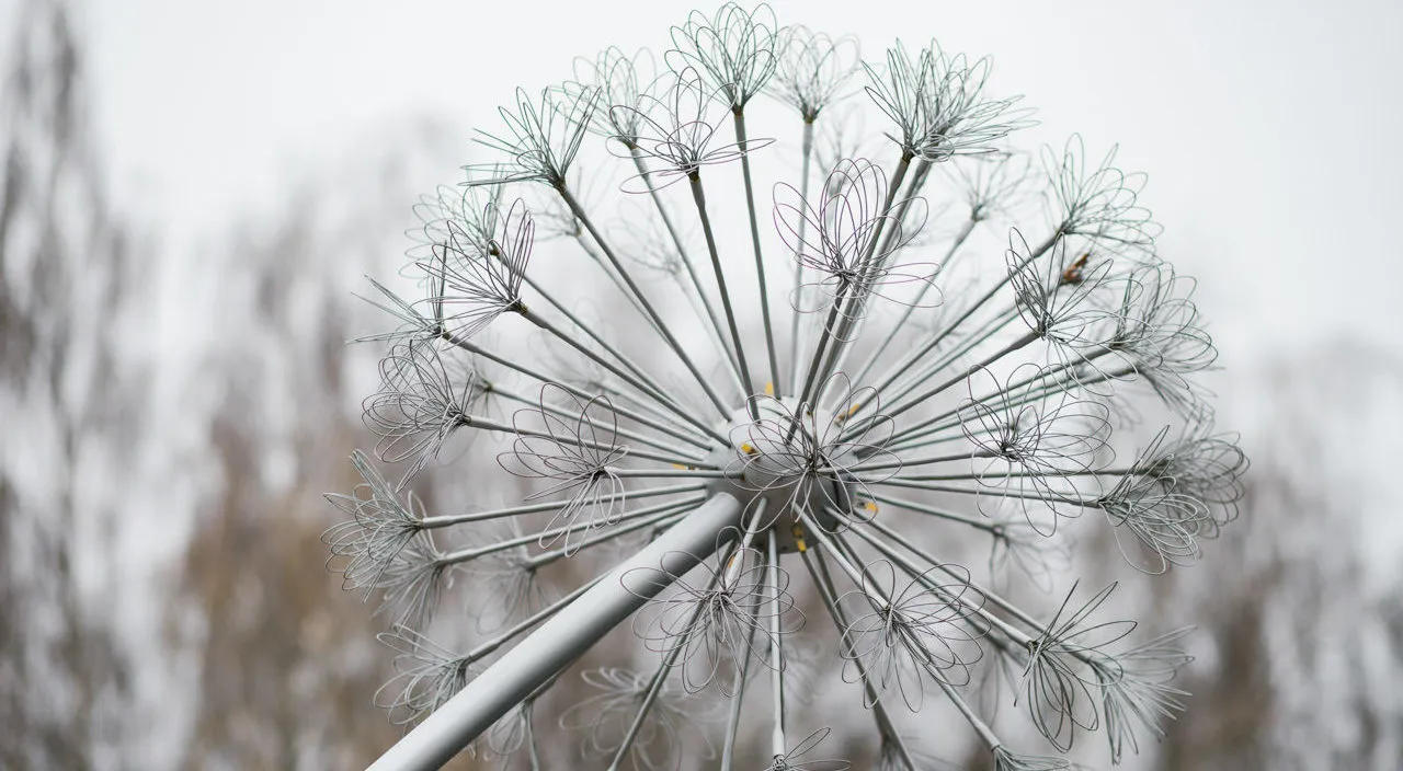 Зображення до новини