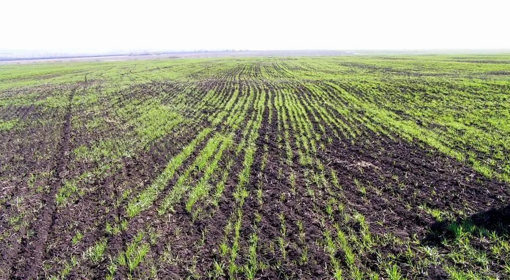 Зображення до новини