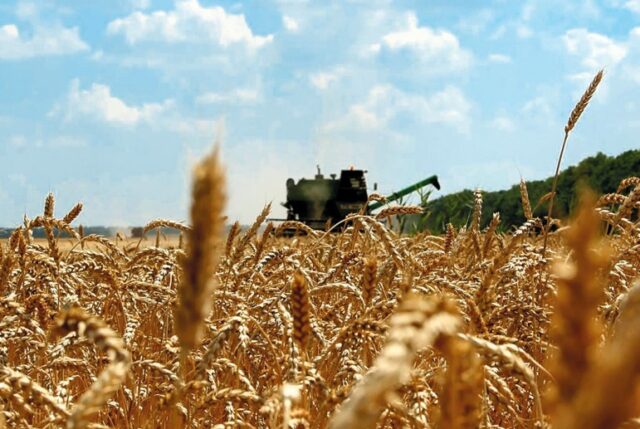 Експорт аграрної продукції з Вінниччини за рік зріс на 27%