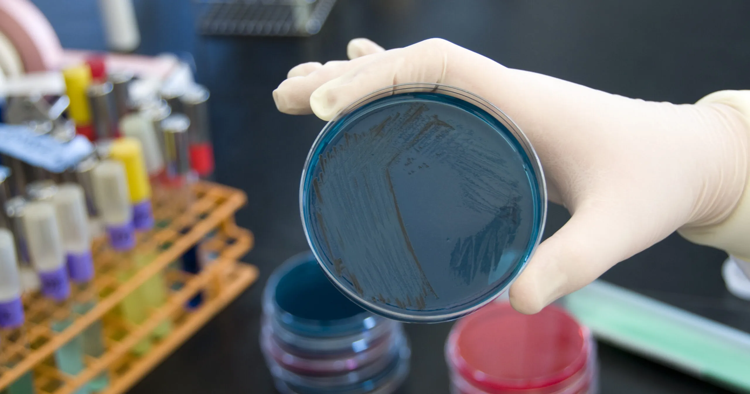 Зображення до новини