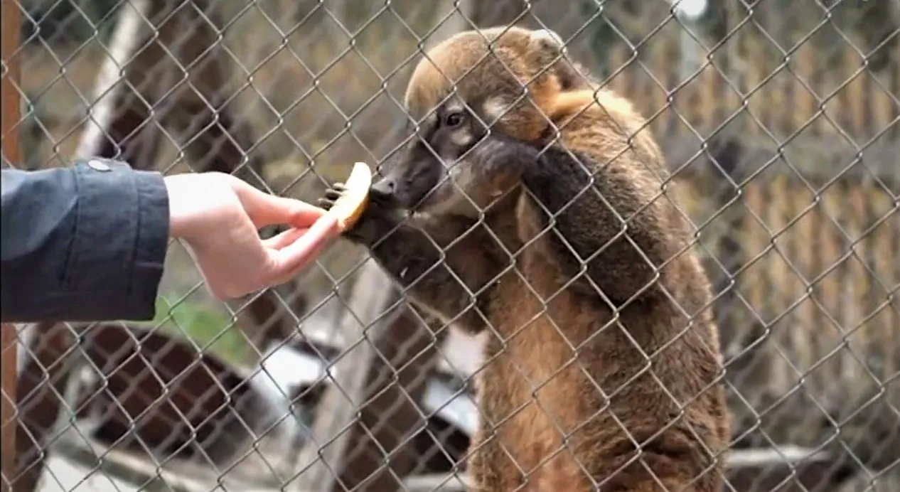 Зображення до новини