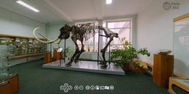 Побачити мамонта, не виходячи з дому: вінницький краєзнавчий музей пропонує віртуальну екскурсію