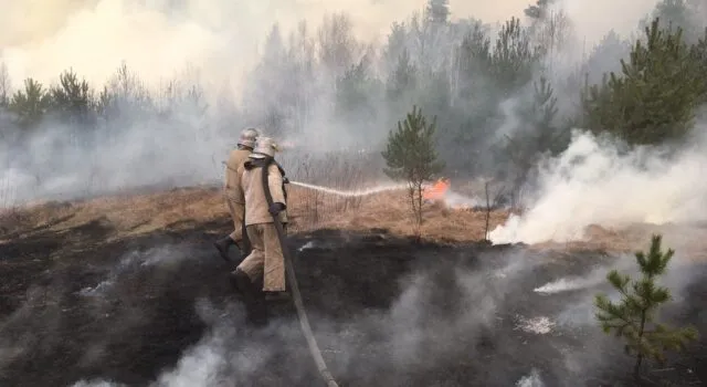 Вінницькі рятувальники поїхали гасити лісові пожежі у зоні відчуження на Київщині. ФОТО, ВІДЕО