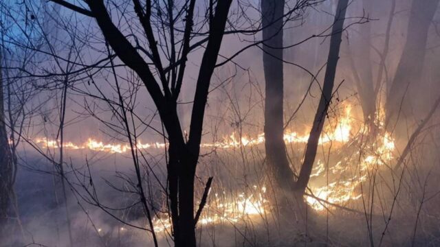 Рятувальники Вінниччини гасили пожежі в екосистемах 19 разів за добу. ФОТО, ВІДЕО