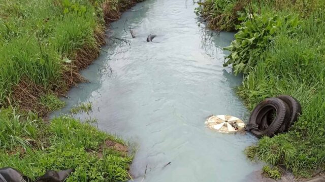 Екологи припускають, що причиною забруднення Тяжилівки стали відходи з каналізації. ВІДЕО