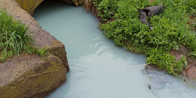 У річці Тяжилівка екологи виявили забруднення амонійним азотом