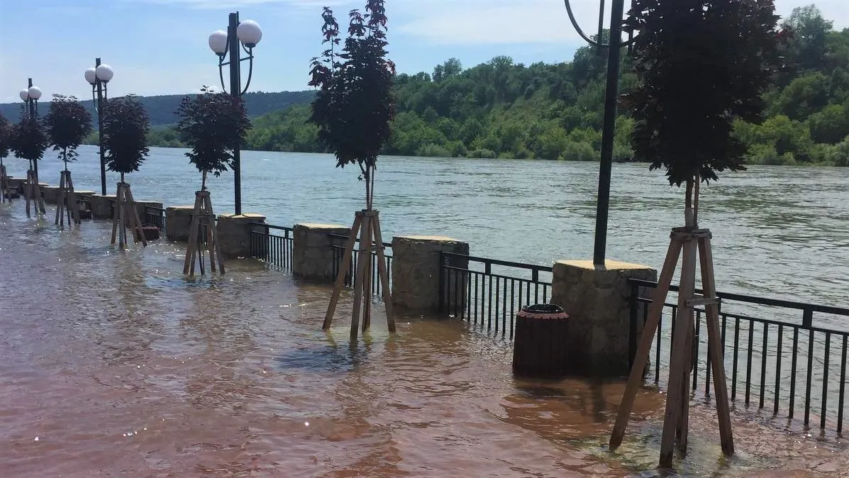 Зображення до новини