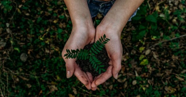 “Кисневі” акваріуми та компостування листя: у Вінниці визначили переможців конкурсу учнівських екологічних ініціатив
