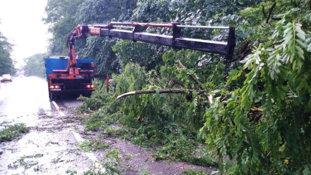 Негода на Вінниччині: рятувальники сім разів виїжджали на виклики через повалені дерева. ФОТО