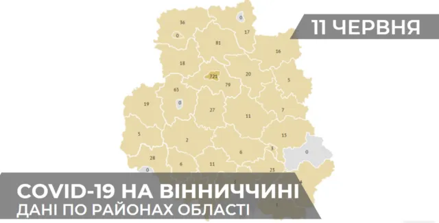 Коронавірус на Вінниччині: статистика поширення по районах станом на 11 червня. ГРАФІКА