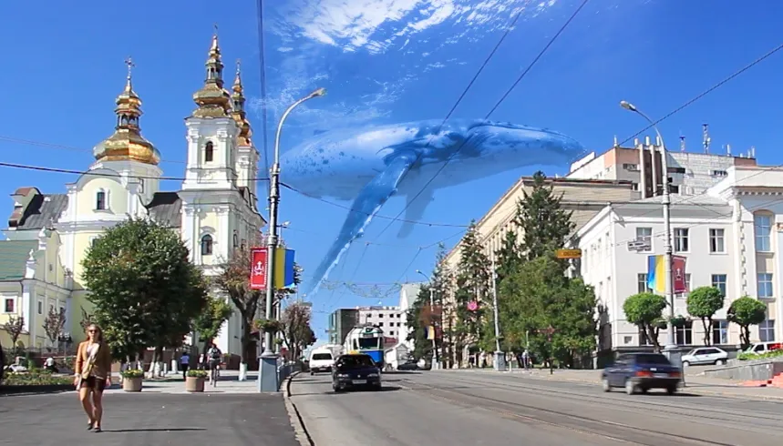 Зображення до новини